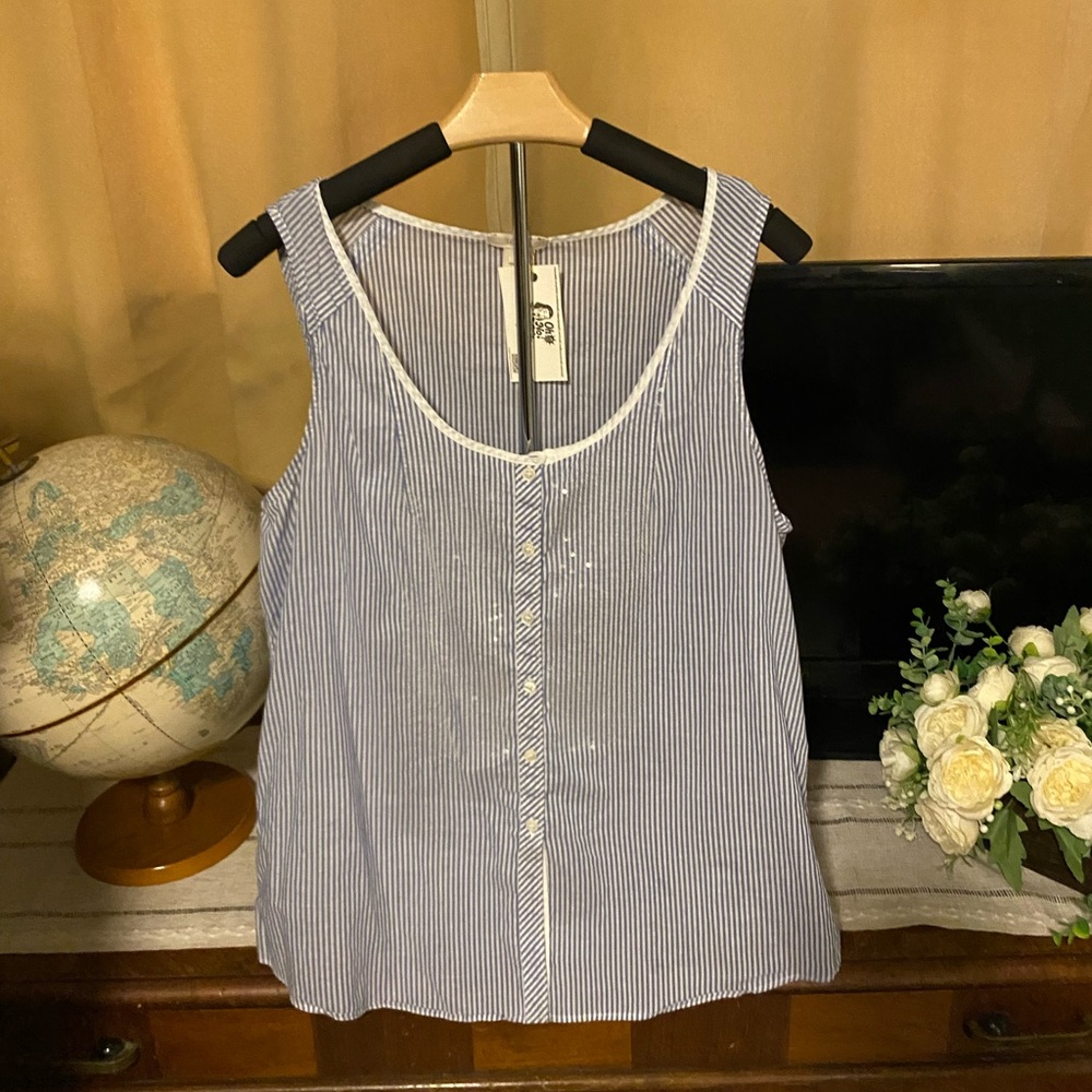 J. Crew Blue and White Striped Shirt